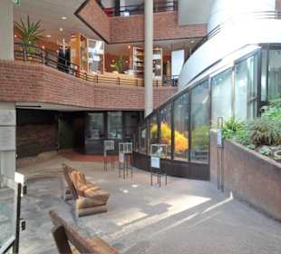 Impressionen aus dem Museum am Schölerberg