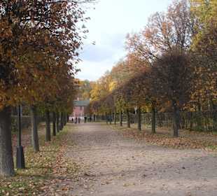 Усадьба Кусково