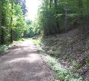 Breitenbachquelle