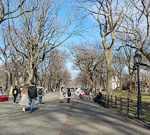 The Mall bei fast frühlingshaften Temperaturen 