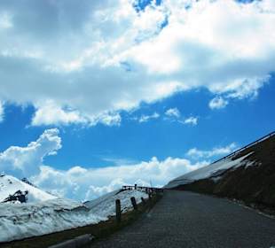 Edelweißspitze super Bild