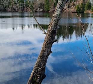 Wandern Murnau am Staffelsee