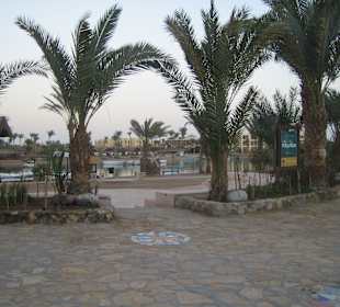 Ausflug El Gouna