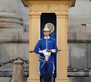 Palace guard