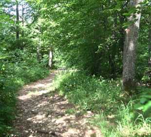 Premiumwanderweg "hochgelegen"