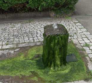 Dorfbrunnen Grünmettstetten