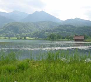 Bayern
