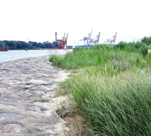 Hafeneinfahrt 