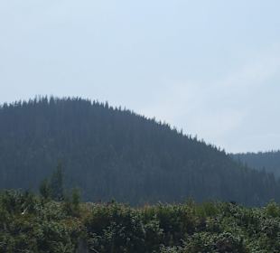 Parcul Natural Apuseni