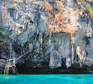Phi Phi Lee