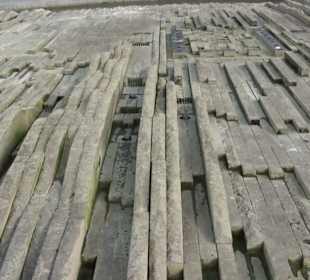 Lustgarten - Gartenanlage