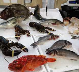 Rundgang durch den Mercato Civico di San Benedetto