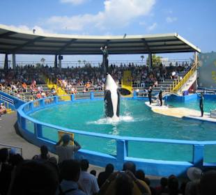 Miami Seaquarium