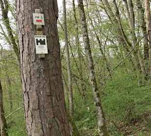 Eiszeitpfad - Burgfelsenpfad