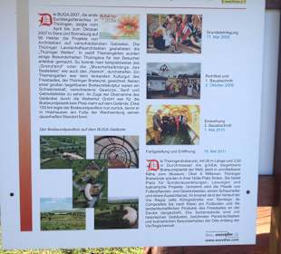 Historie der Bratwurst