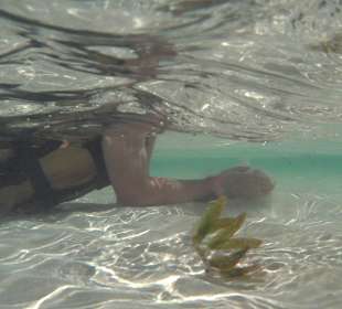 Kristall Klares Wasser