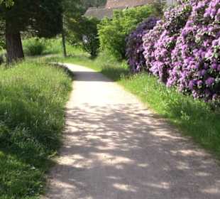 Wanderung Klosterquelle Klosterreichenbach
