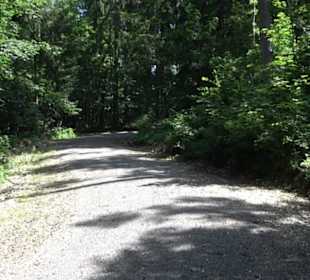 Premiumspazierweg Früchtetrauf-Leisawegle