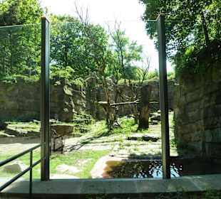 Brillenbären Anlage