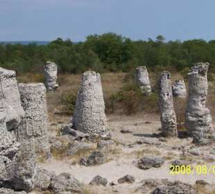 Steinerner Wald bei Varna