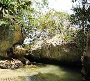 Blick vom Eingang der Höhle