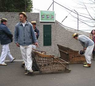 Einstieg zur Schlittenfahrt