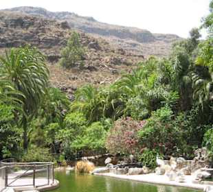 Palmitos Park - Gran Canaria - Maspalomas