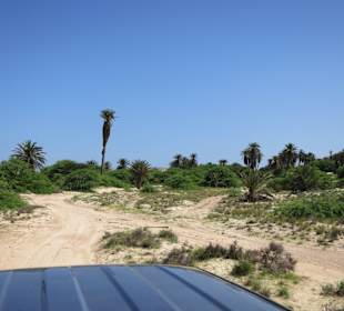 Boa Vista Tour