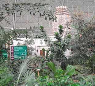 Tropical Islands innen