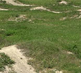 Pumptrack Oberiflingen