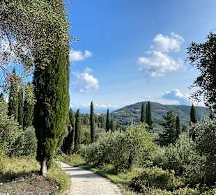 Inselrundfahrt Korfu