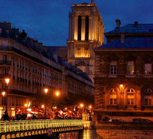 The Notre Dame
