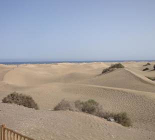 Dünenlandschaft