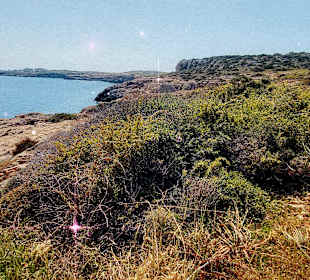 Nationalpark Kap Greco