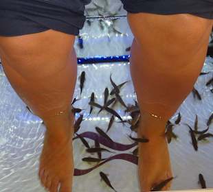 Warmes Wasser im Becken