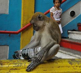 Batu Caves