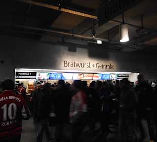 Allinaz Arena München