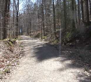 Waldkulturerbe Neuweiler Viehweide