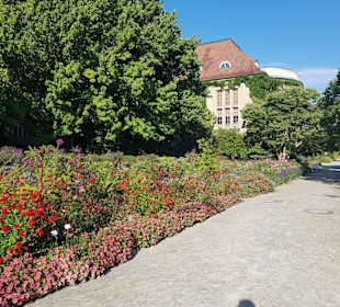 Botanischer Garten