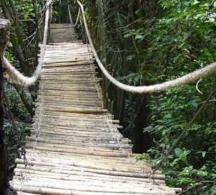 Hängebrücke in der Catfish Farm