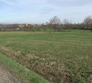 Gomaringer Rundweg - Zu den Giganten im Wald