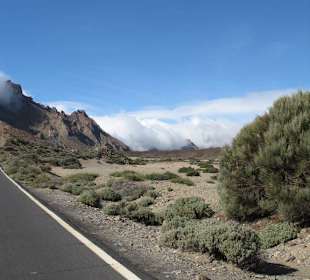 Teide