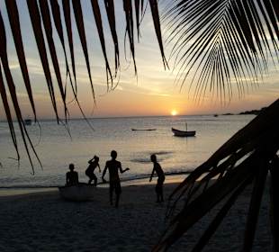 Caribic-Island-Tours