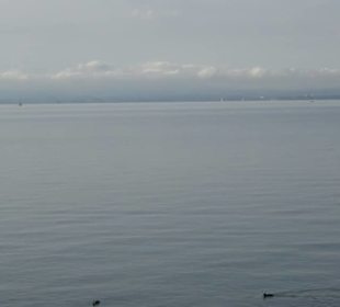 Uferpromenade Friedrichshafen