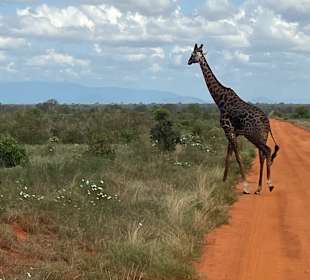 Shimba Hills National Reserve