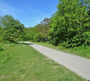 Eindrücke vom Spielmannsteich