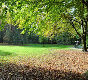 Spaziergang durch den Stadtpark Versmold