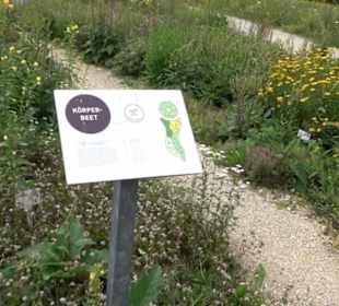 ALB-GOLD Naturgarten