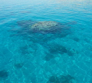 Eines der Riffs beim schnorcheln