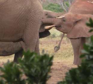 Die haben sich wohl gern